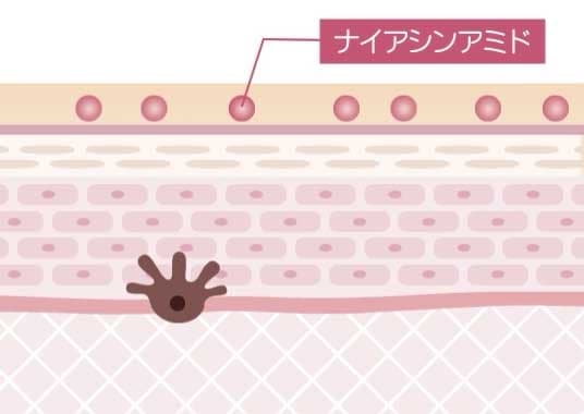 ビーバウンシー | ビズキストア商品紹介 | BIZKI.STORE（ビズキ ストア）